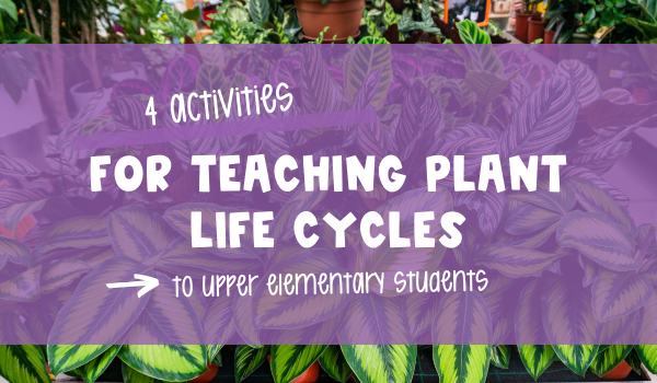 4 Activities for Teaching Plant Life Cycles blog header image